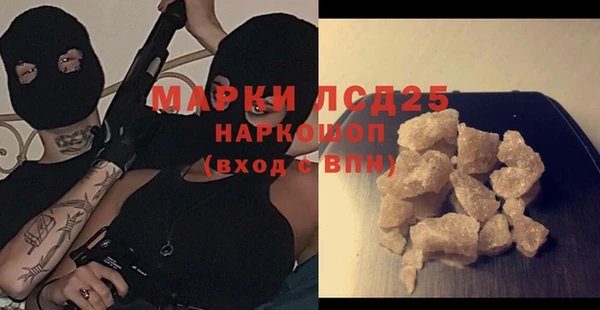 прущие грибы Баксан