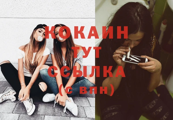 прущие грибы Баксан