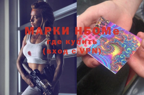 прущие грибы Баксан