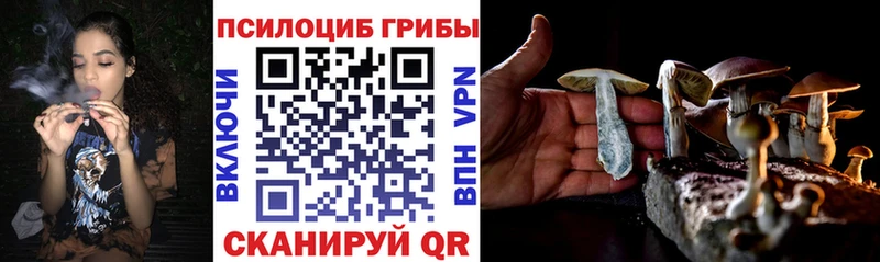 Галлюциногенные грибы мухоморы  кракен вход  Сусуман 